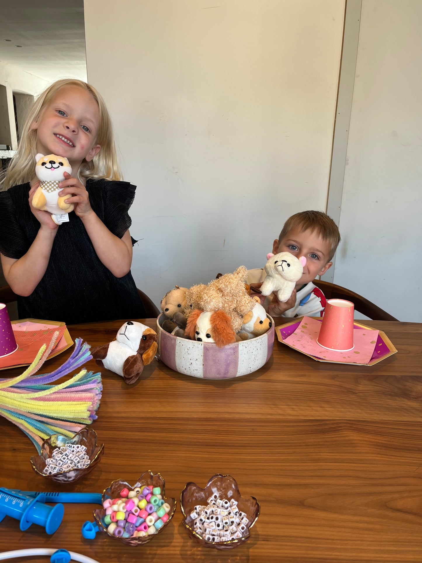 Adopteer een puppy - box