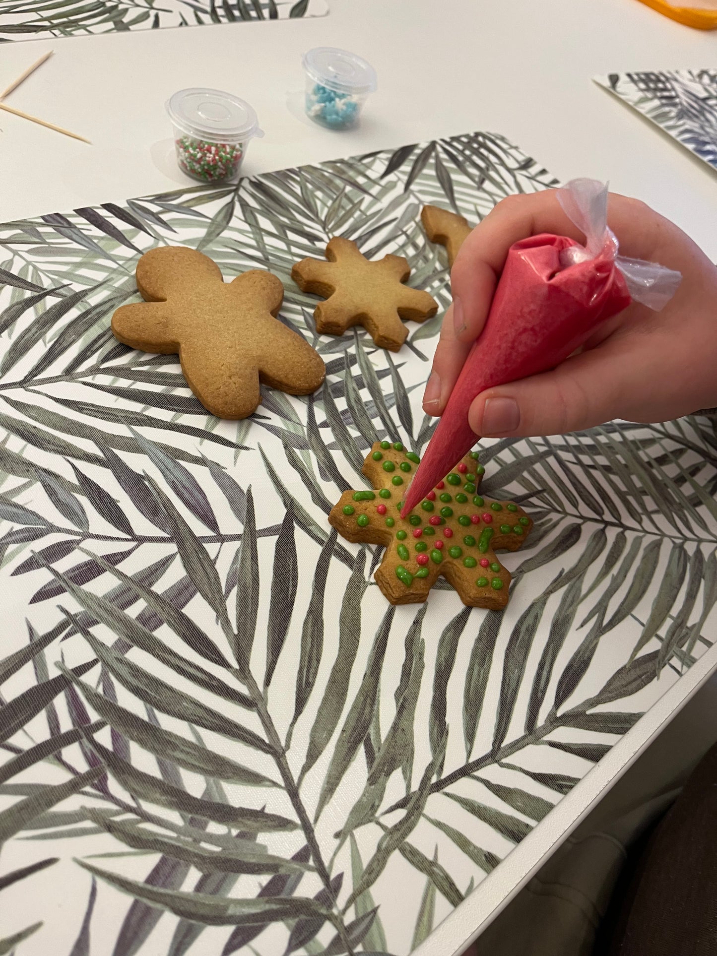 🍪DIY koekjes versieren 🎄 workshop in een doosje