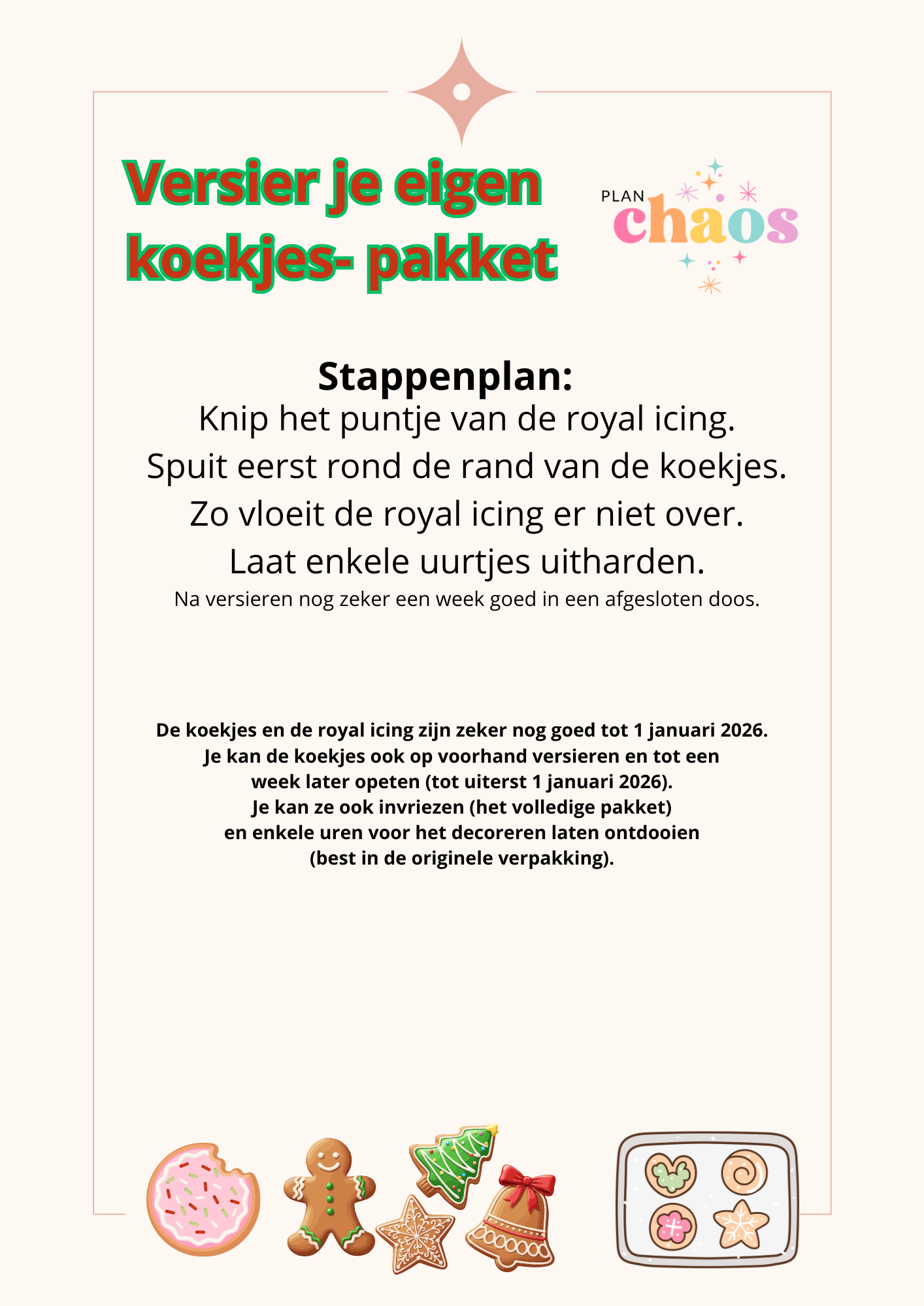 🍪DIY koekjes versieren 🎄 workshop in een doosje